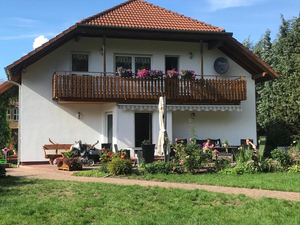 Lauta Grosszuegige Ferienwohnung Am Waldesrand Im Seenland מראה חיצוני תמונה