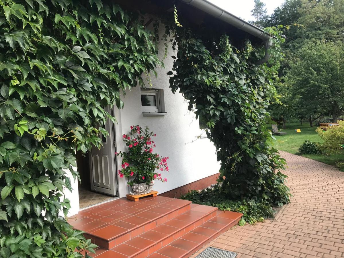 Lauta Grosszuegige Ferienwohnung Am Waldesrand Im Seenland מראה חיצוני תמונה